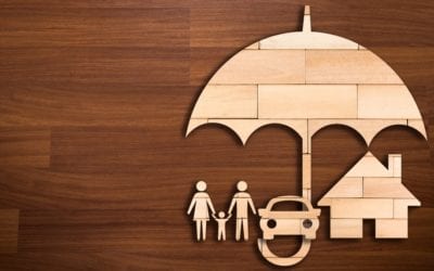 An Umbrella for All Weather