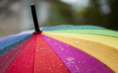 Umbrella Insurance Helps You Weather Legal Storms