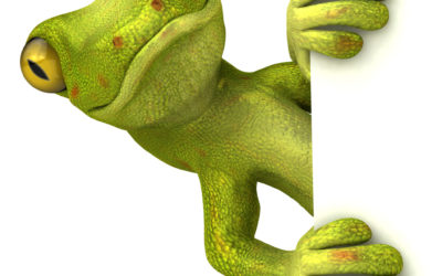 GEICO’s Email to New York Auto Policyholders on Proposed Legislation